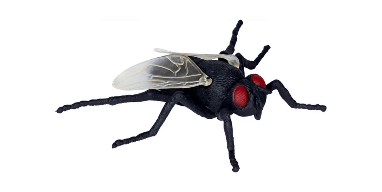 Wild&Cool putukas Kärbes